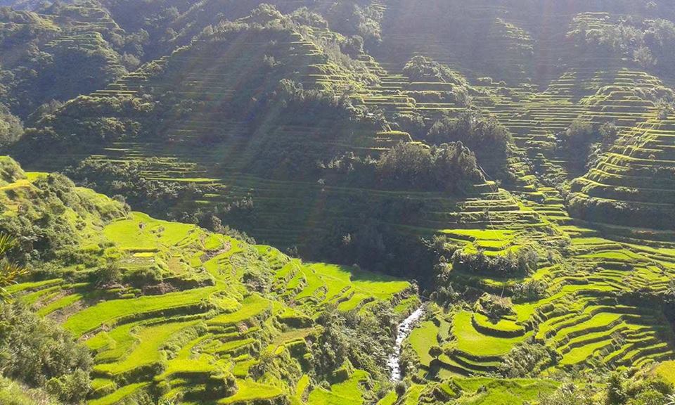 Banaue