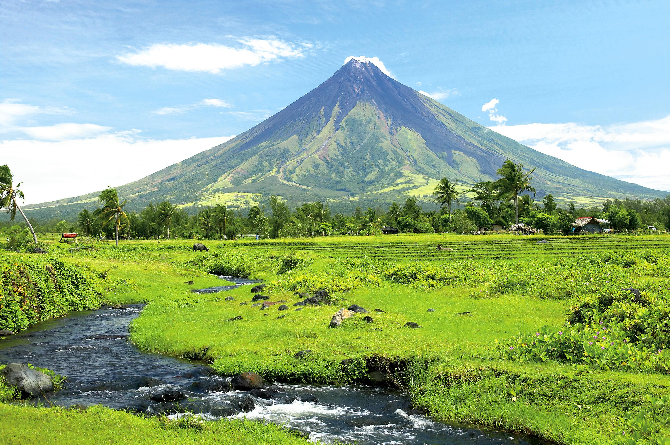 Bicol