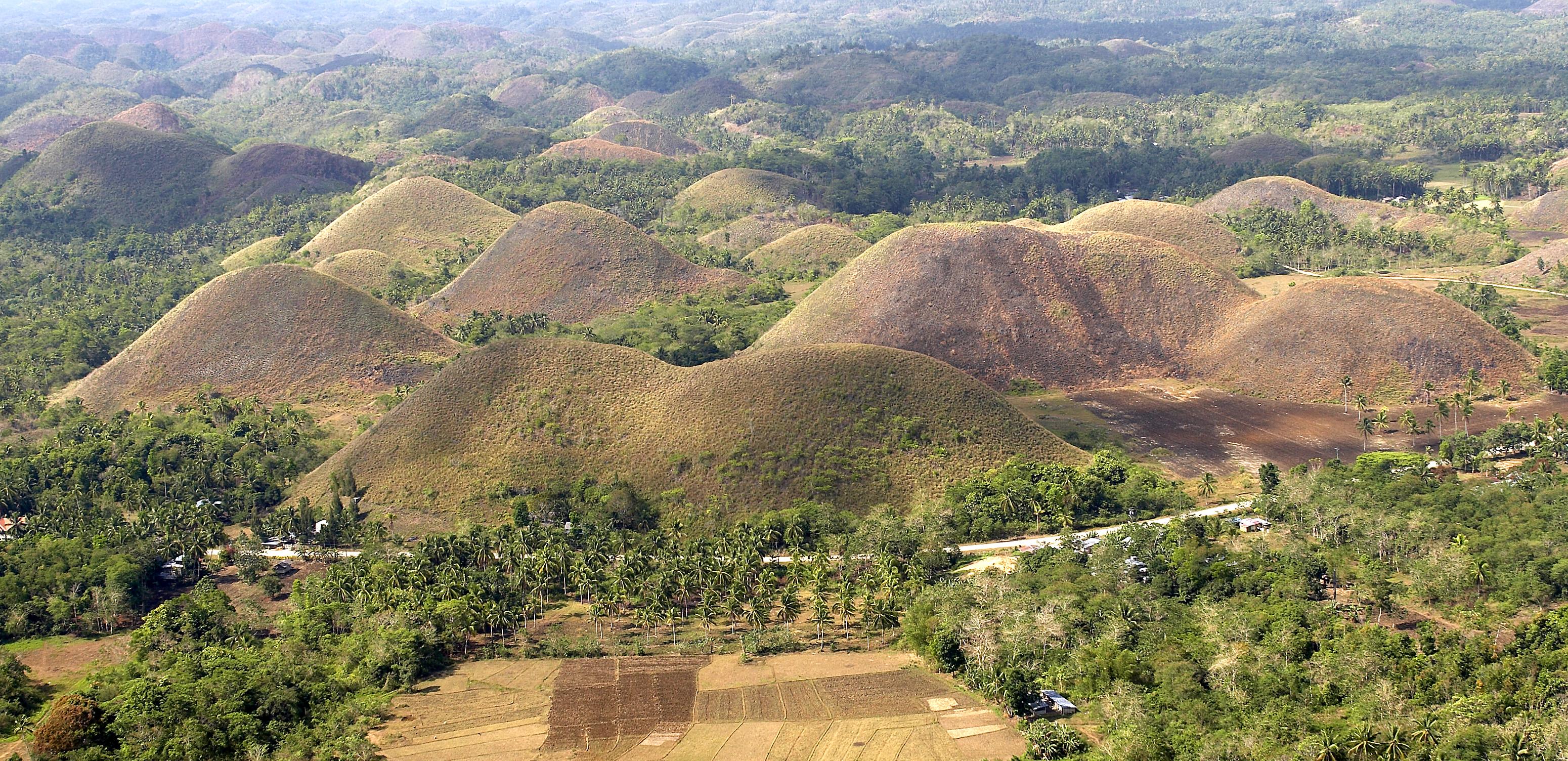 Bohol