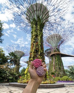 SINGAPORE